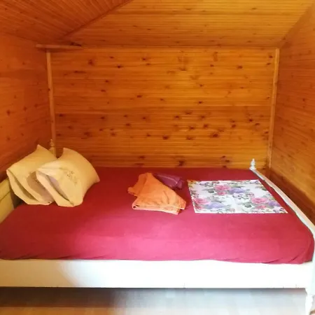 Nikol House
